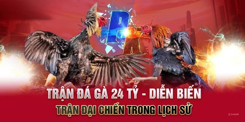 Diễn biến kịch tính của trận đá gà 24 tỷ